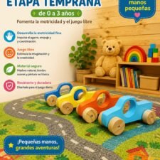 Camioneta Etapa Temprana